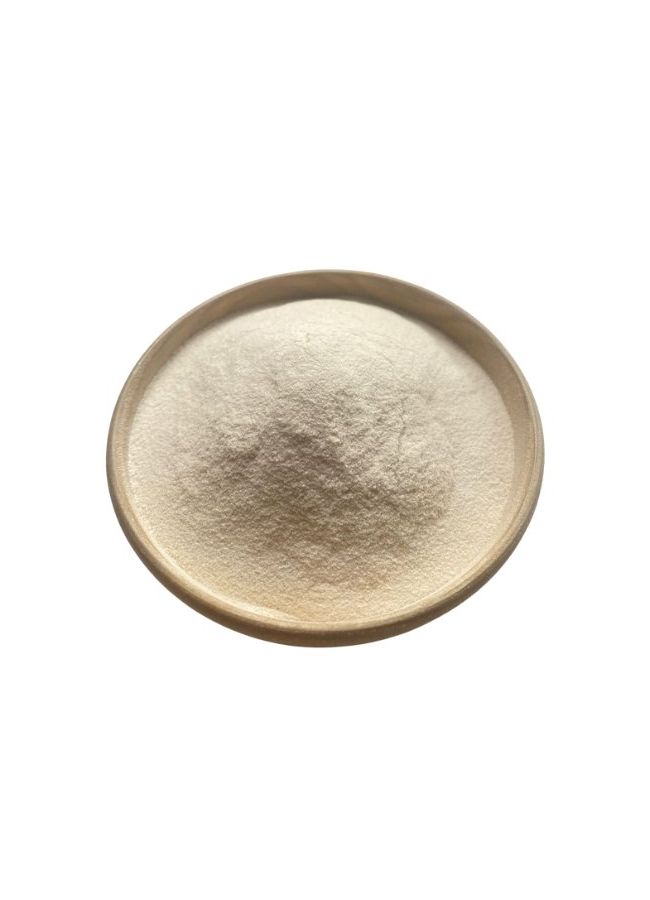 Agar Agar Tozu