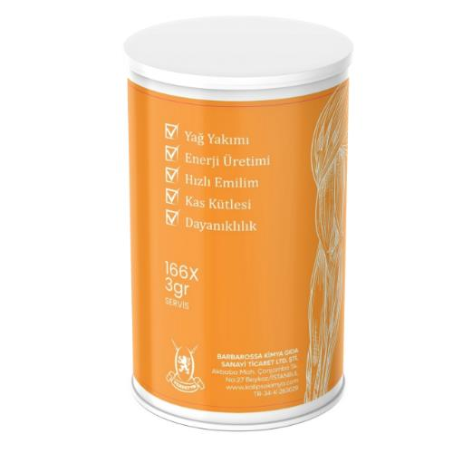 L-Carnitine Aromasız Toz