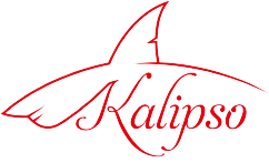 Mısır Nişastası 500 GR, 1 KG, 25 Kg Fiyatı | Kalipso Kimya